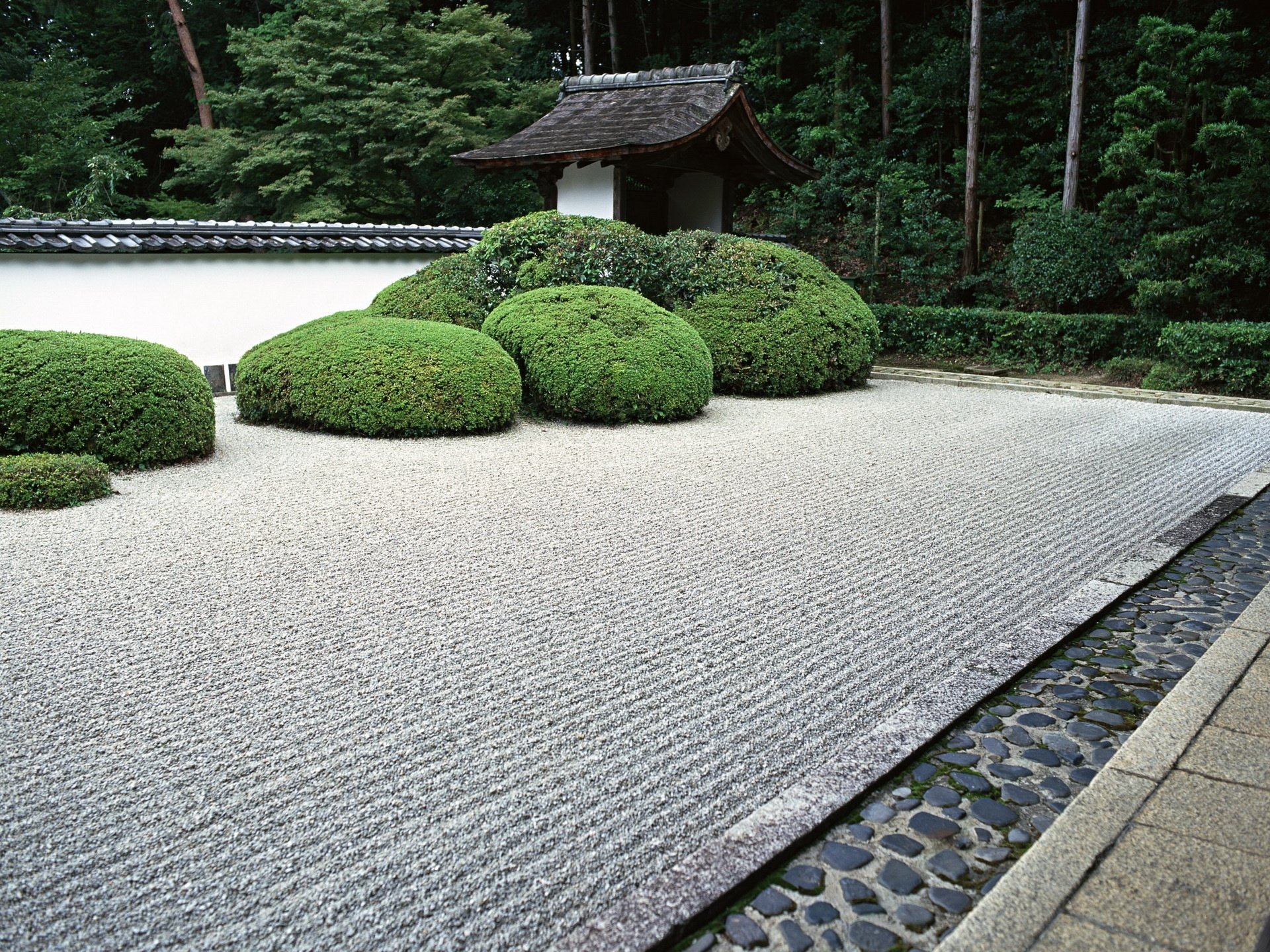 japon jardin buissons