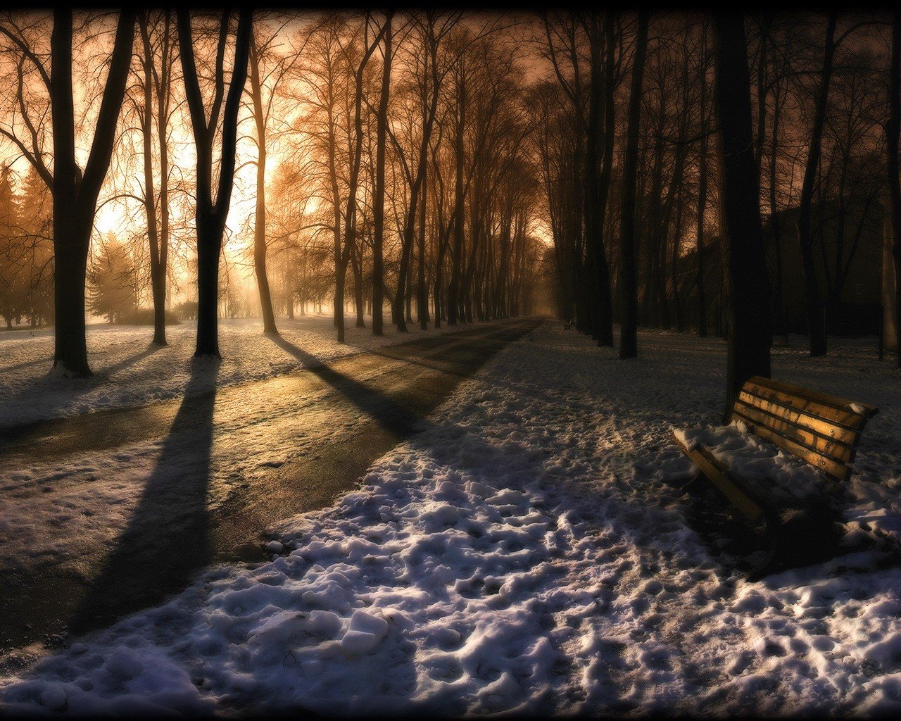 parc banc hiver traces