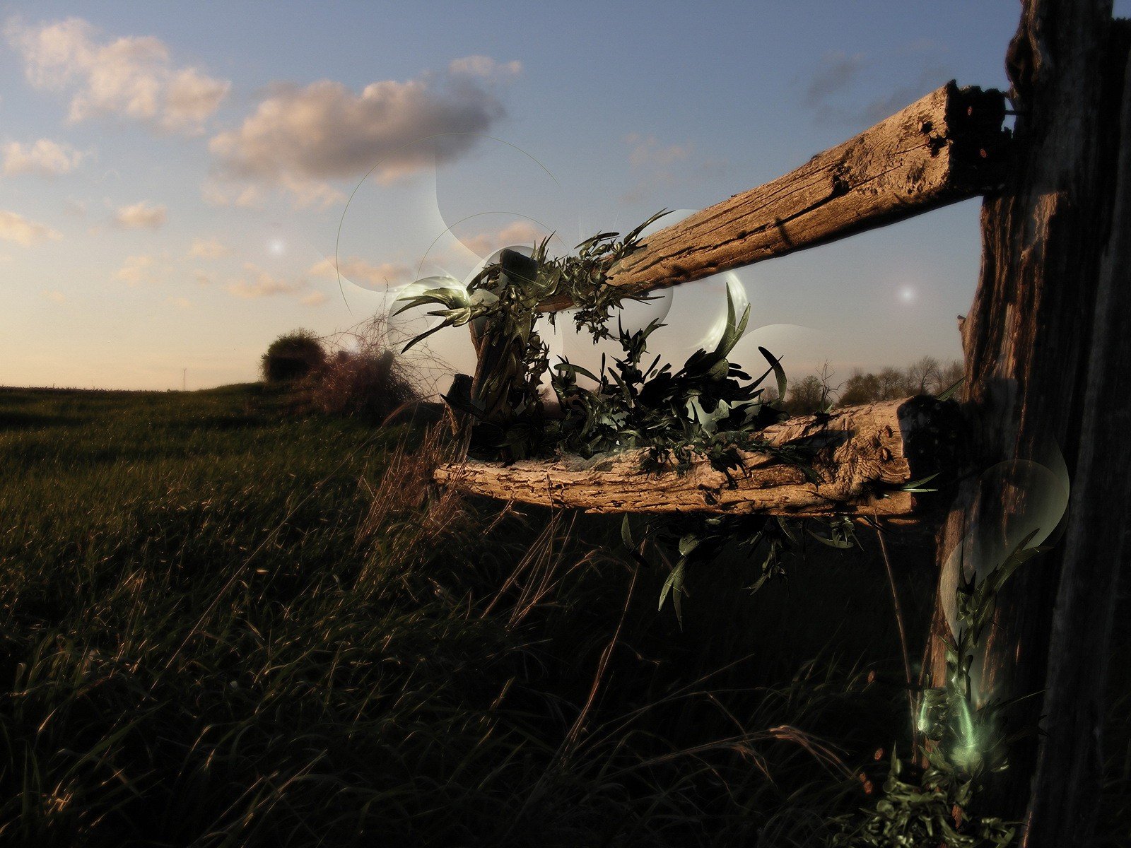 zaun verarbeitung gras