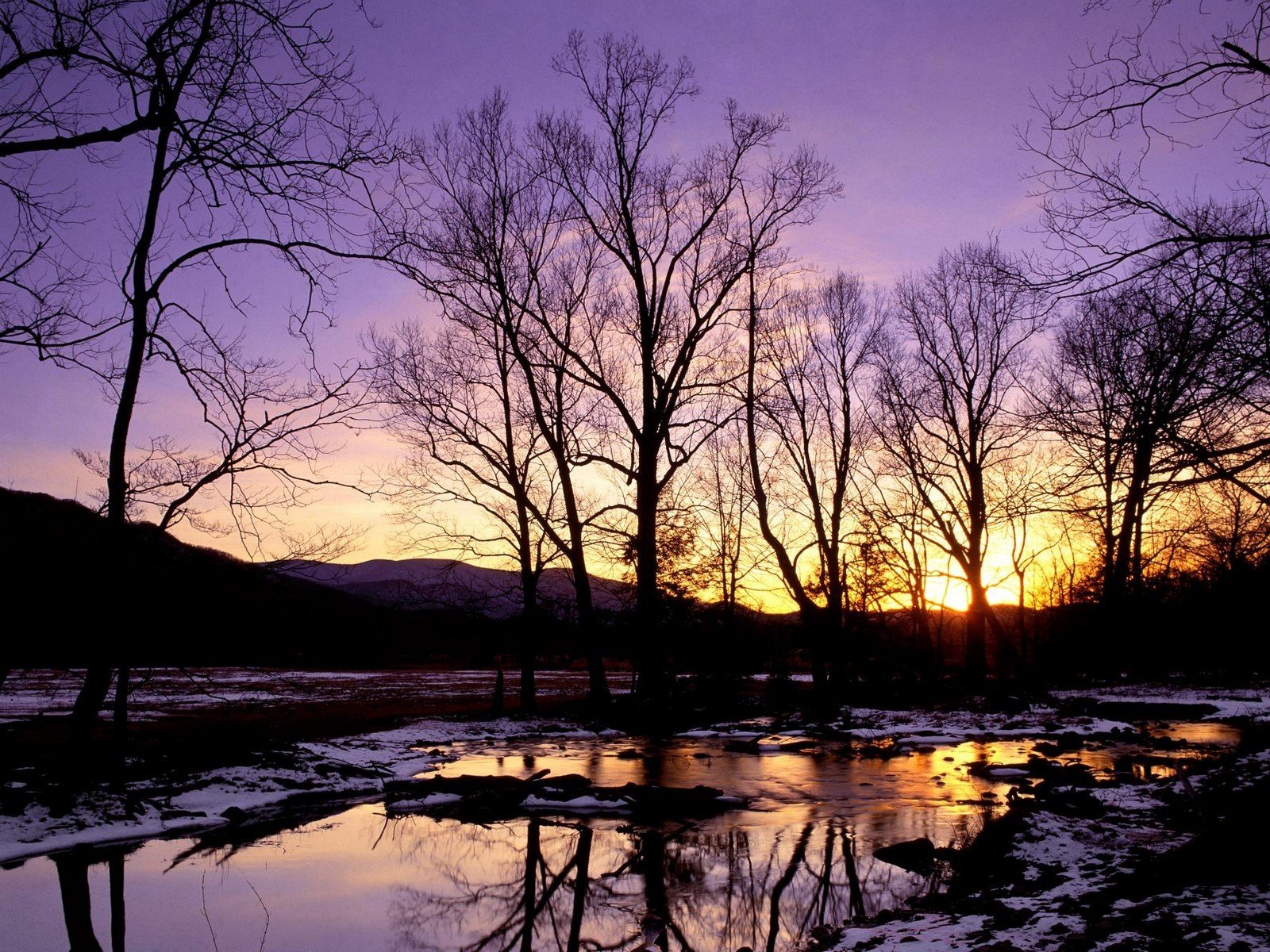 alberi ruscello inverno neve