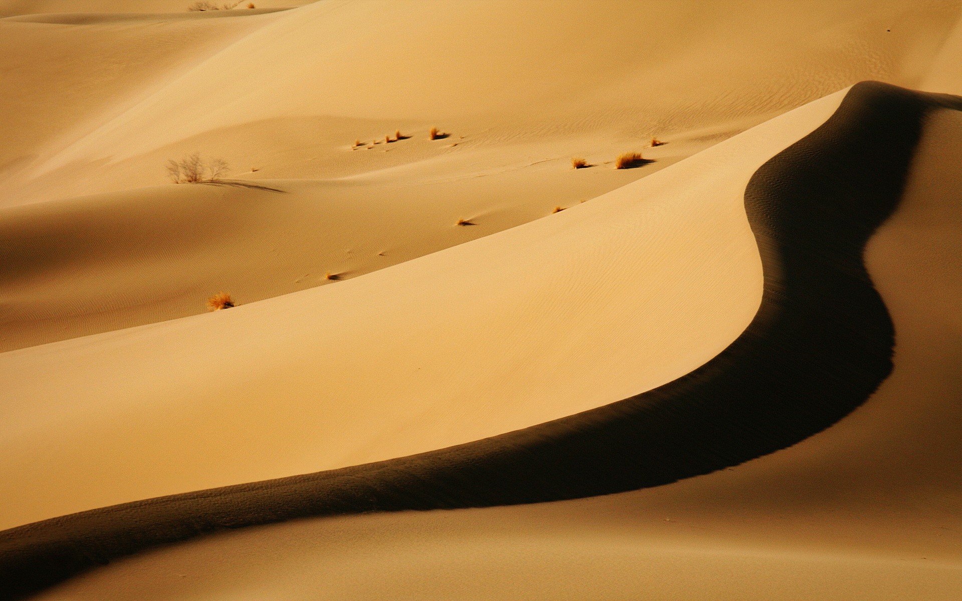 dune shadow desert