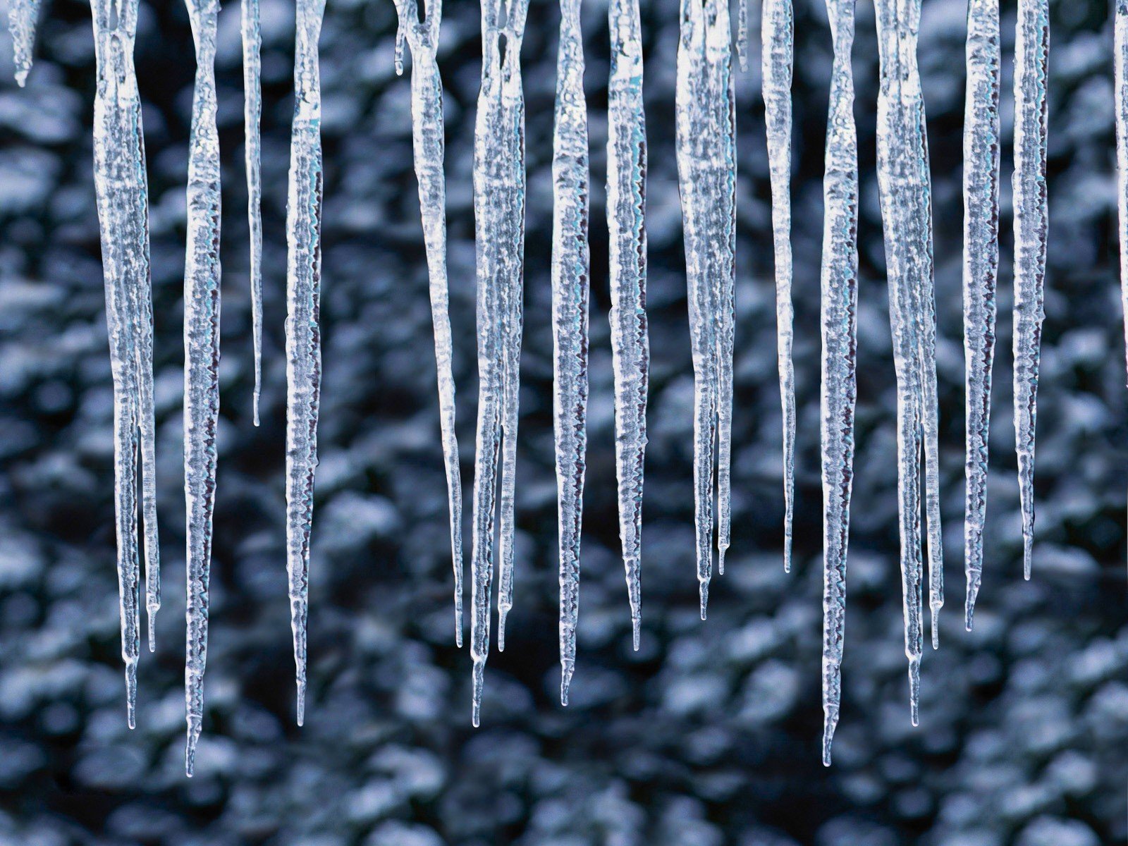 winter icicles drop