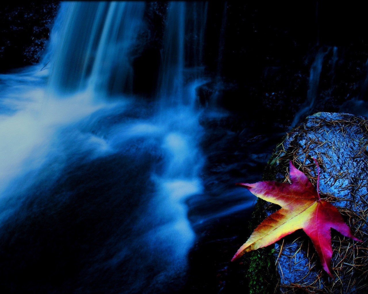 foglia cascata autunno