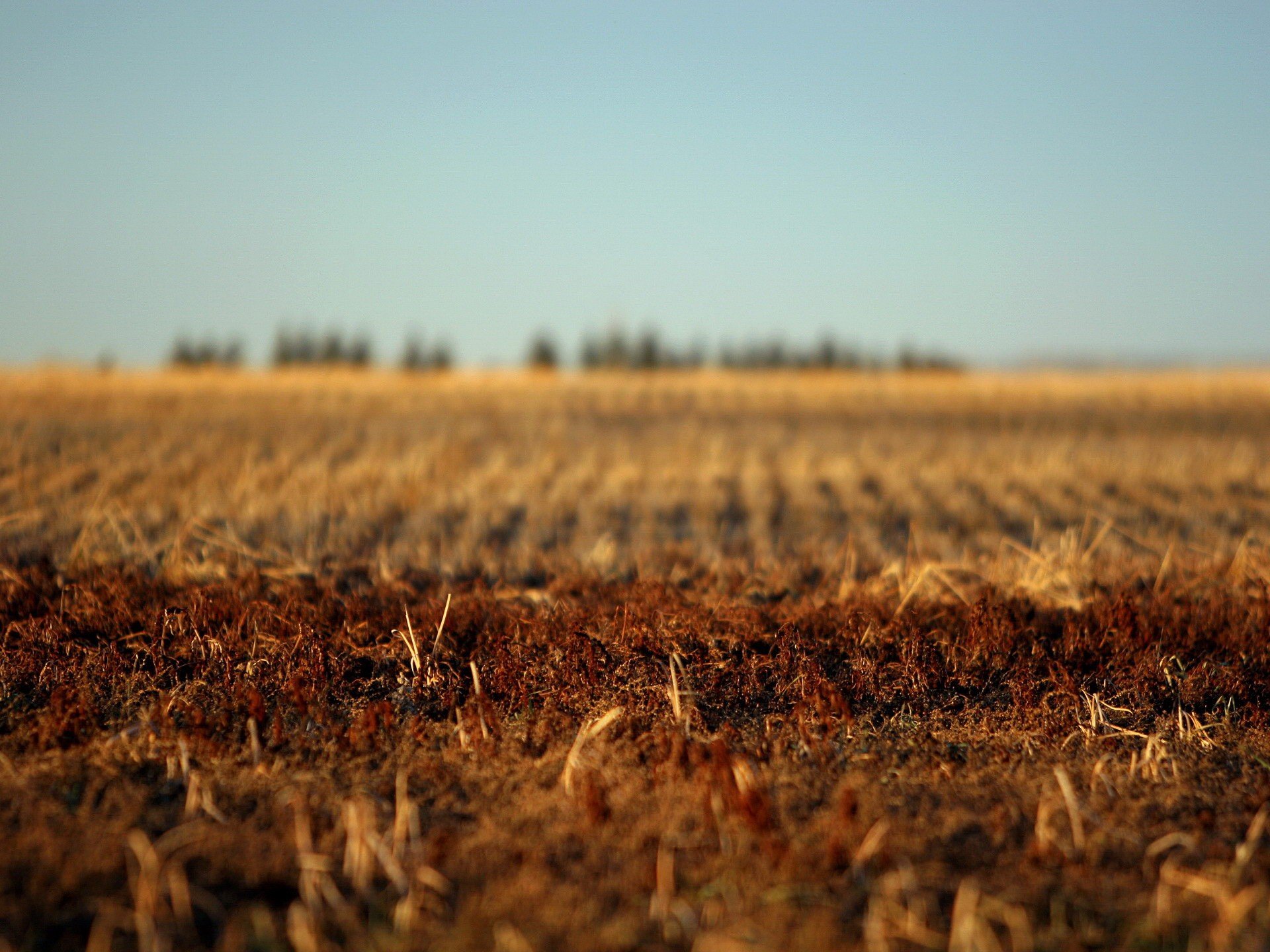 campo autunno terra