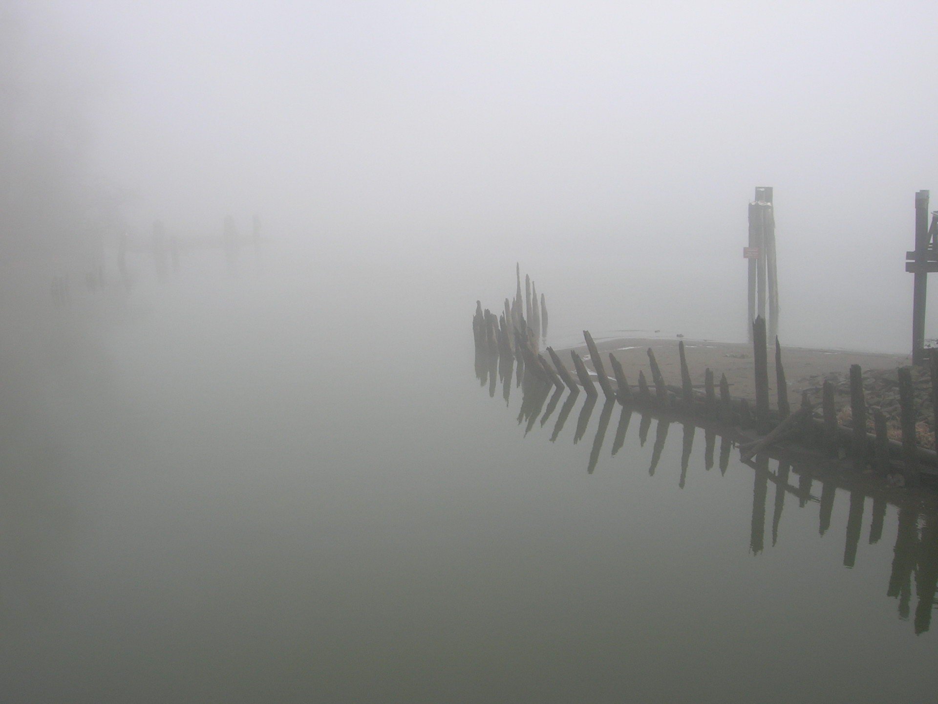 nebel ufer überreste