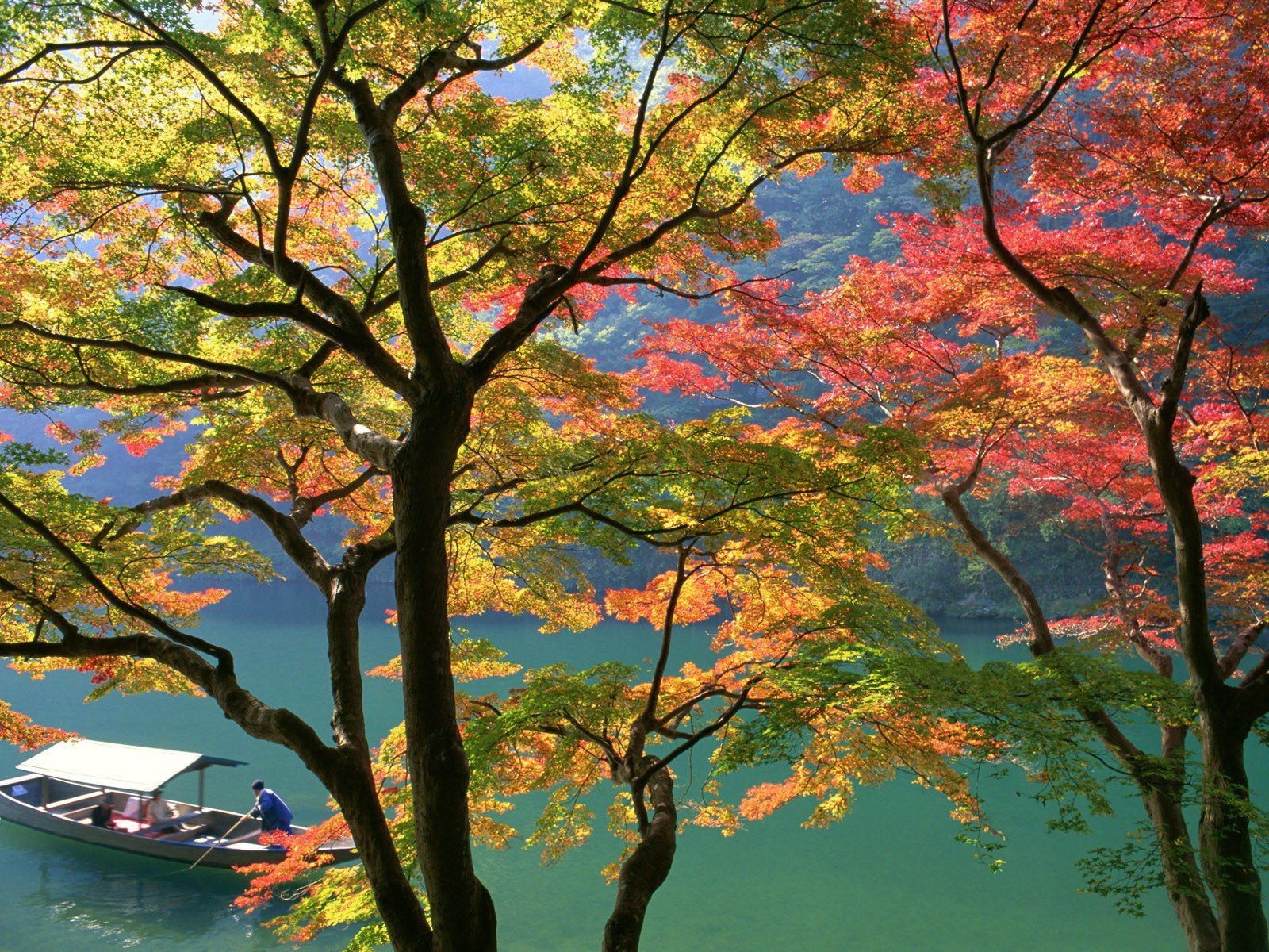 japan autumn boat