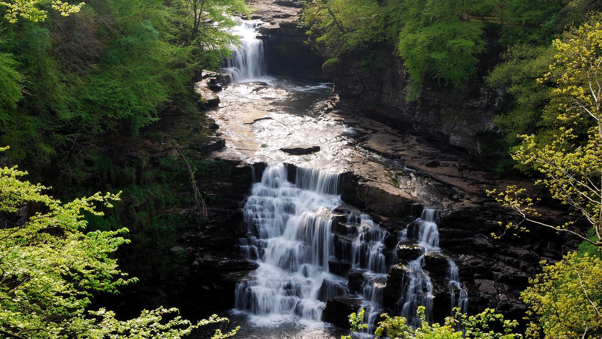 cascada bosque rocas