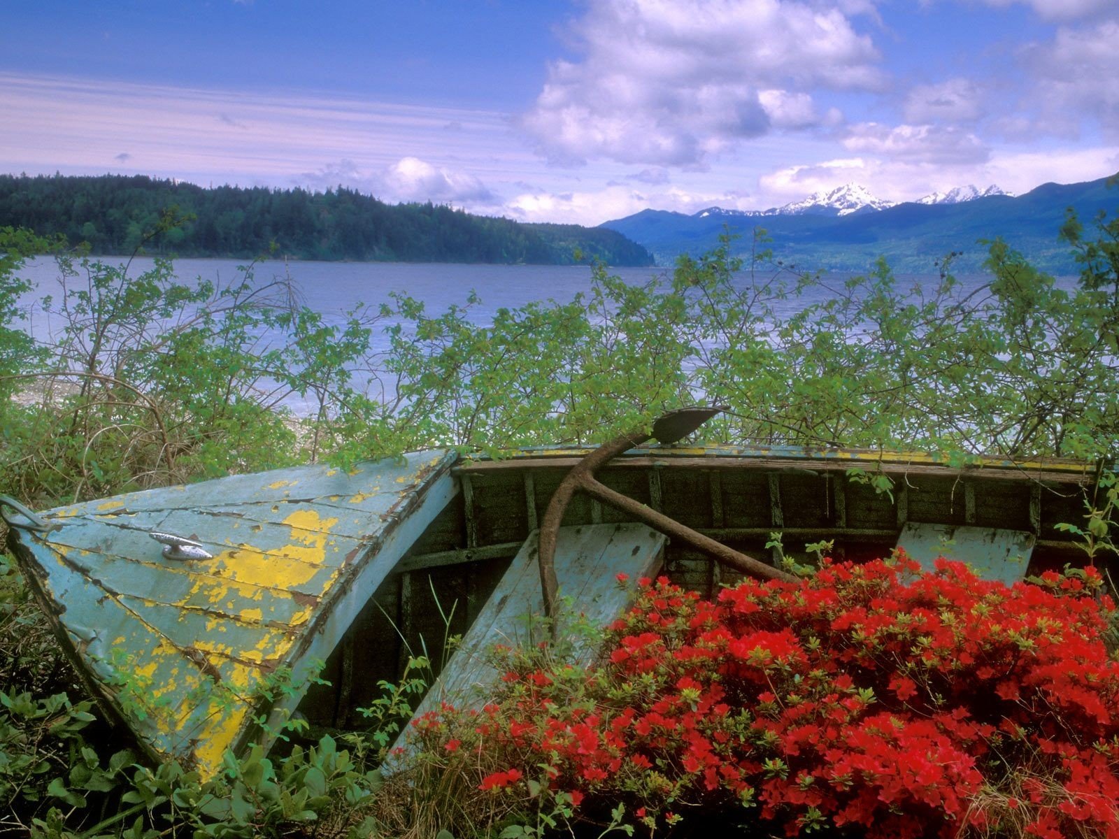 washington bateau canal fleurs