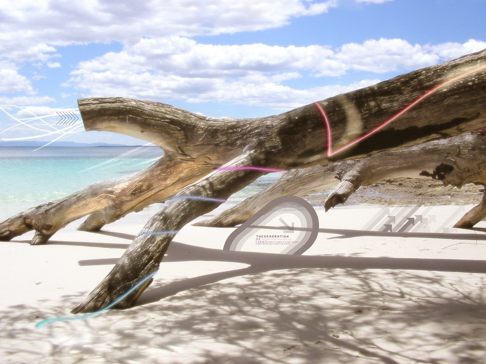 trunk tree processing beach