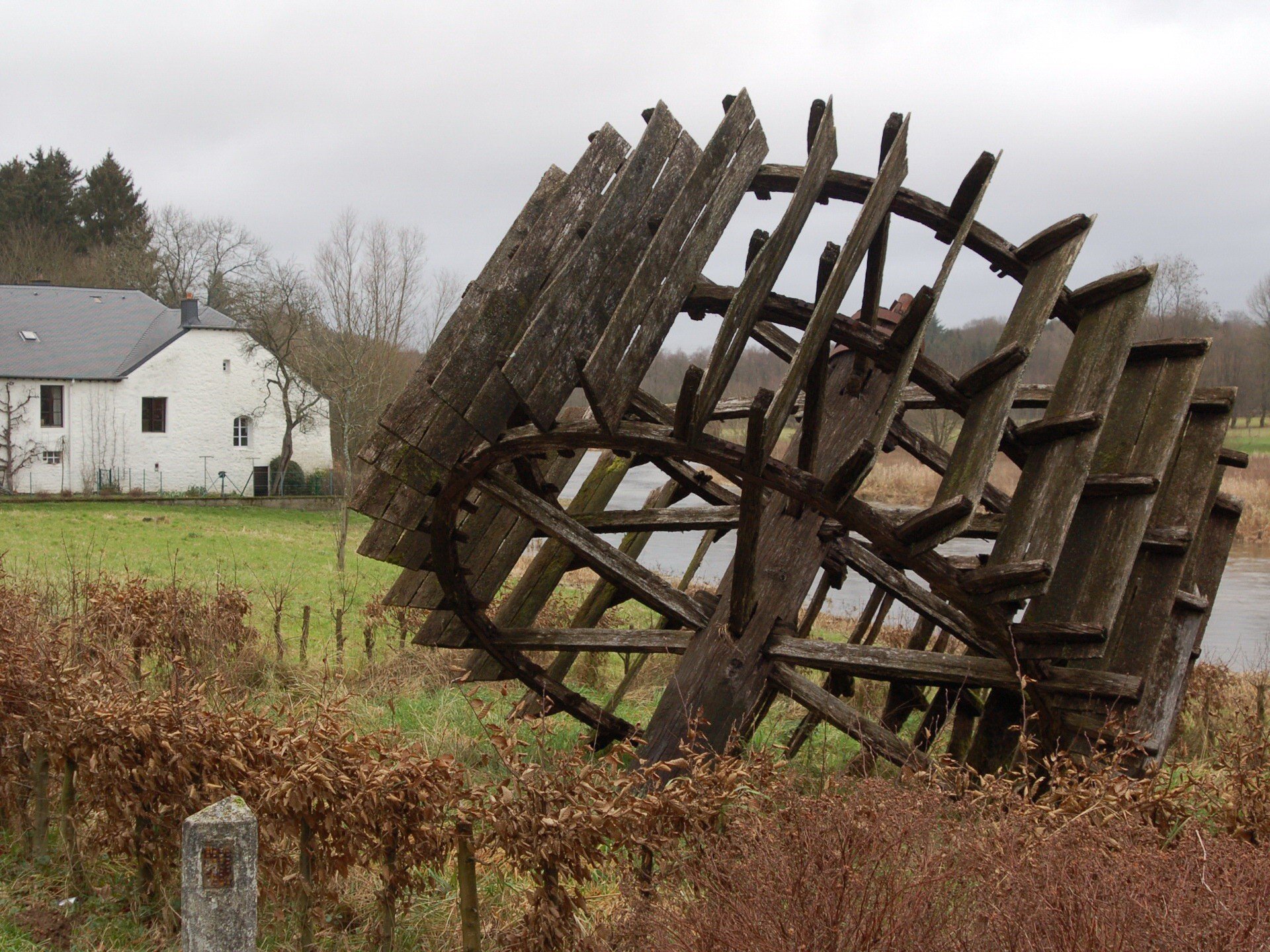 tree wheel river old