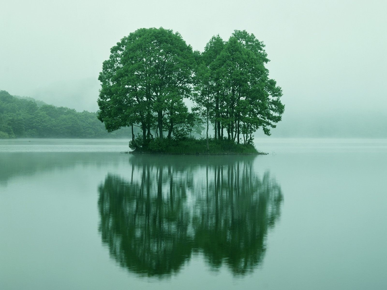 arbres île réflexion