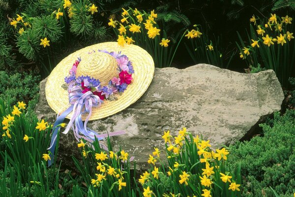 Chapeau oublié sur la pierre dans la Prairie