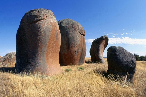 Piedras de forma extraña en la hierba