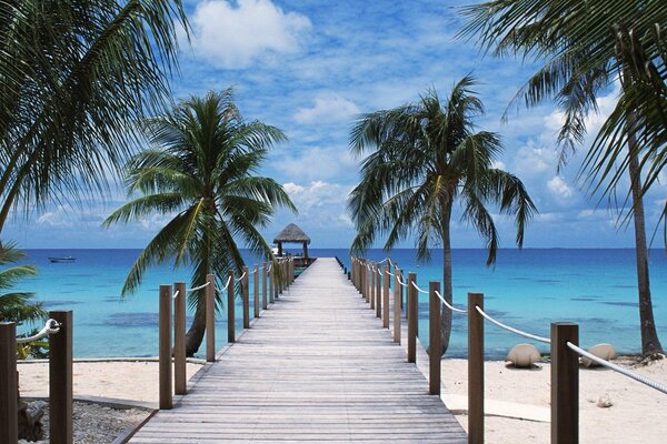 A pier on the beach of Polynesia with palm trees