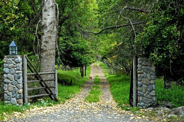 Der Weg in den Sommer blühenden Wald