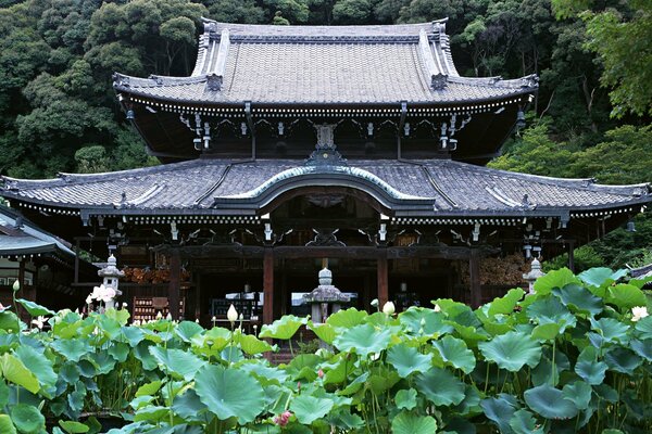 Japanisches Haus in einem saftigen Wald