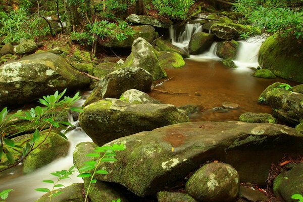 Hermoso arroyo transparente a través de las piedras