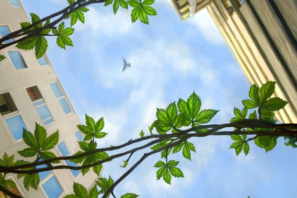 Green bindweed on a blue sky background