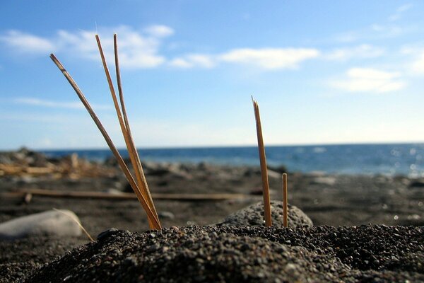 Seascape. Sandy beach