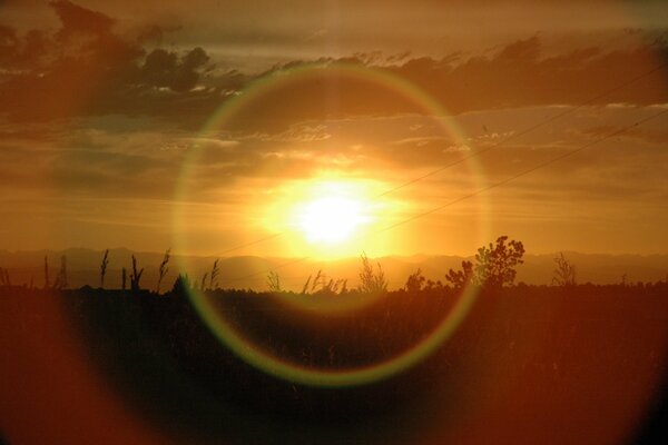 The rays of the sun at sunset