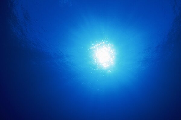 Foto aus der Tiefe des blauen Meeres bei hellem Sonnenlicht