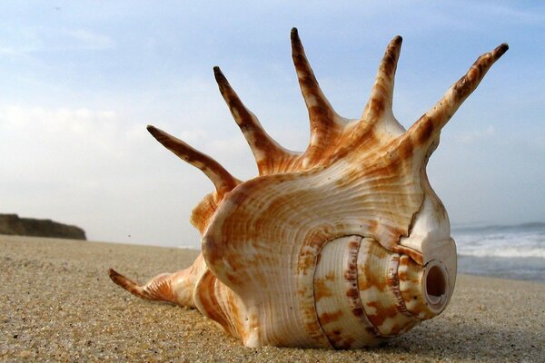 Riesiges Waschbecken am Sandstrand