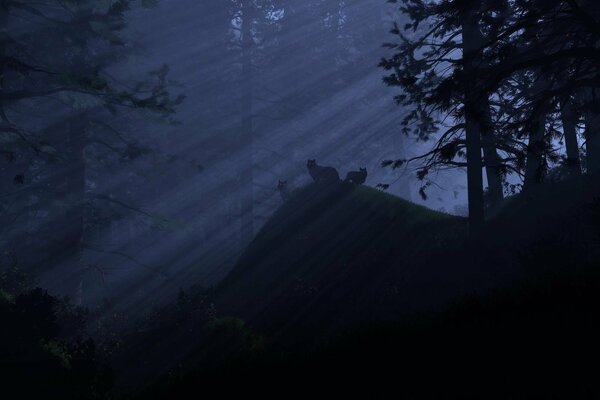 Loups dans la nuit dans la forêt au clair de lune à travers la cime des arbres