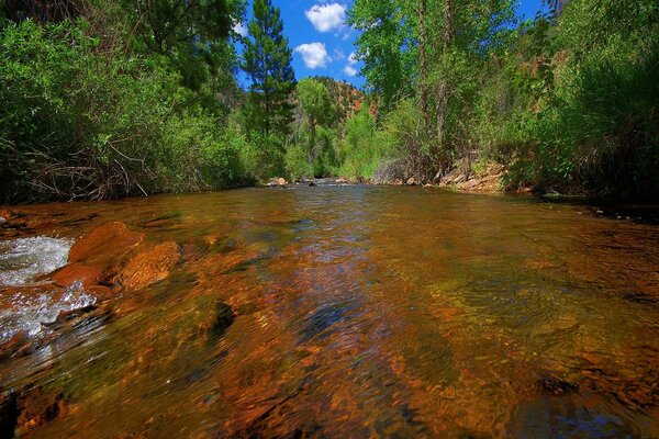 Écoulement orageux de l eau dans la rivière