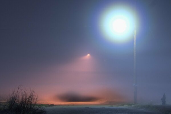 A lantern in the fog illuminates the road