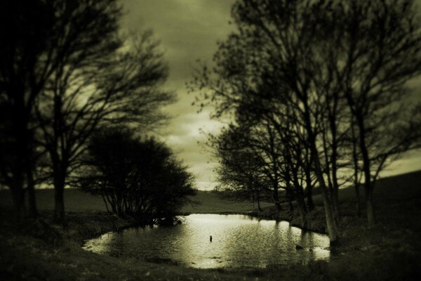 Trauriger Herbst Sepia auf dem Hintergrund von Pfützen und Bäumen