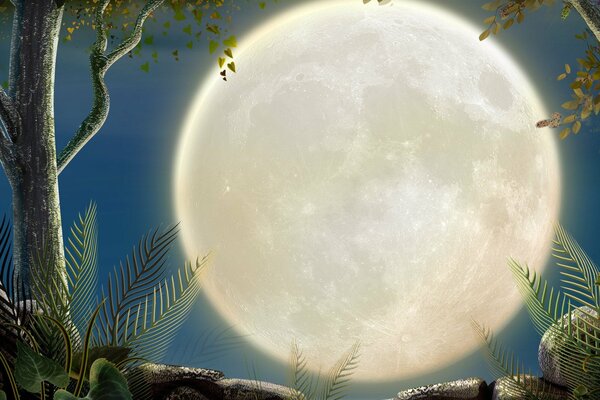 Piante e pietre sullo sfondo della Grande Luna