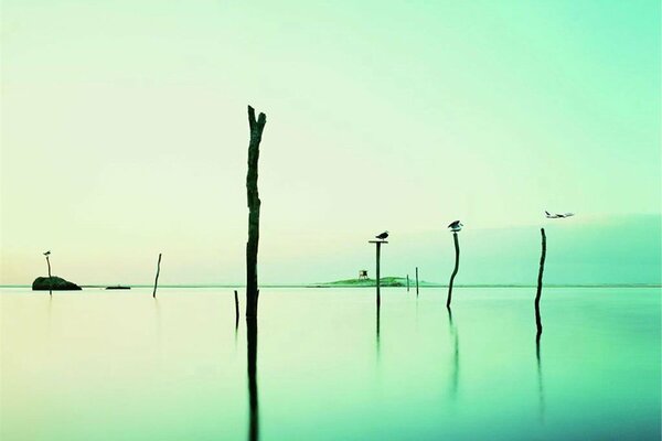 Acqua pilastri cielo riflessione verde turchese