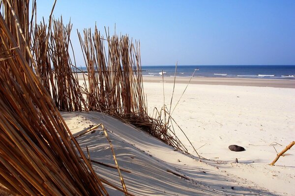 Spiaggia di sabbia e acqua