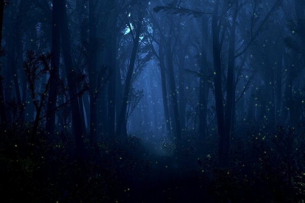 Świetliki w nocnym lesie
