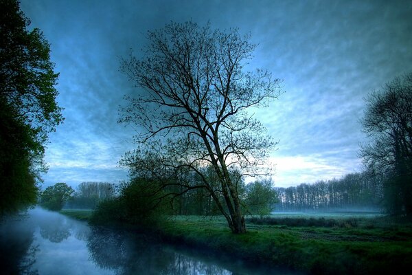 Morgennebel über dem Fluss