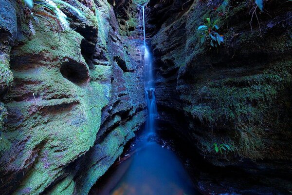 Garganta en musgo con cascada