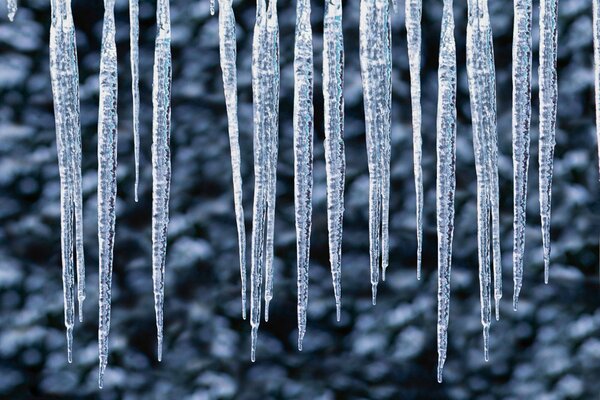 Winter frosts. Meter - long icicles