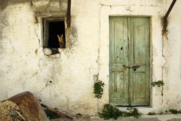 Pared vieja con ventana y gato