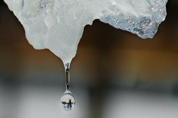 Una goccia che cade da un ghiacciolo in inverno