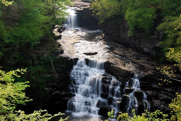 Cascada de roca en el bosque