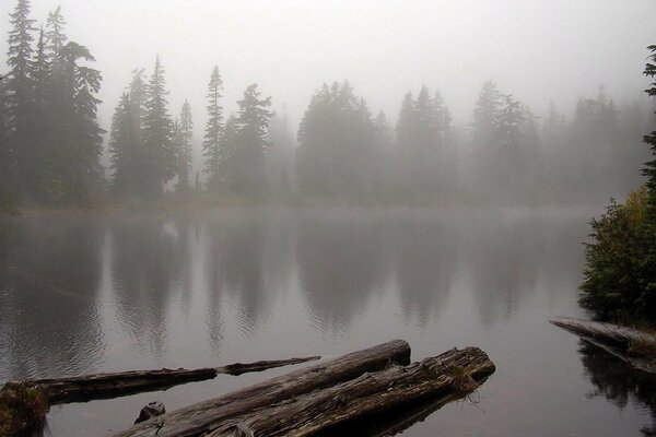 En el lago, la niebla y el bosque alrededor