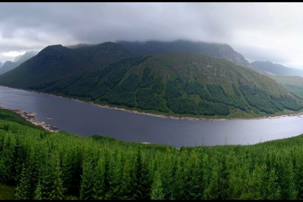 Río bosque montaña hermoso paisaje