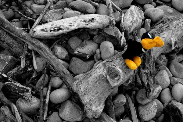 Black and white photo of rocks and branches with a colored toy among them