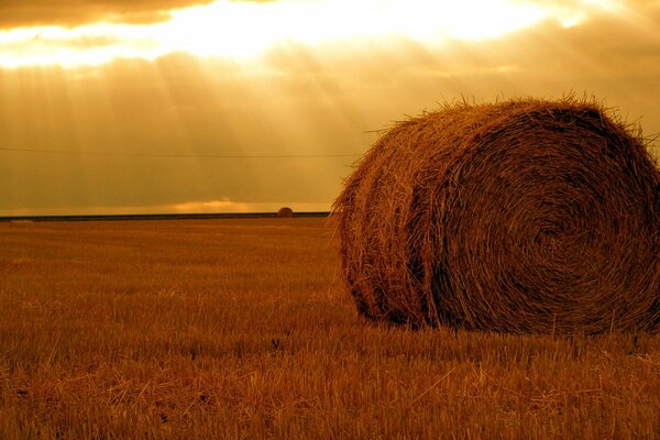 Pagliaio tramonto nel campo