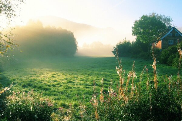 Ein Haus im Wald bei Sonnenaufgang im Nebel