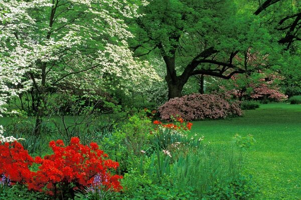 Beautiful green park and flower bed