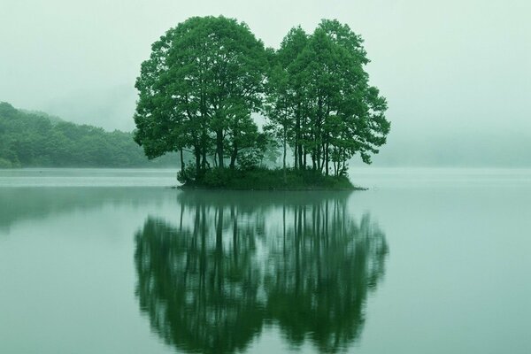 Reflection of Ostrava in the water