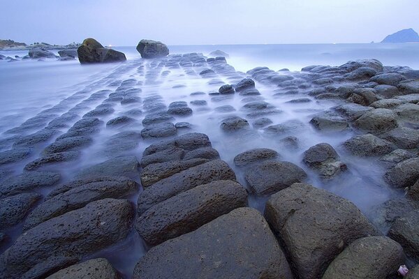 Côte rocheuse de la mer enveloppée de brouillard