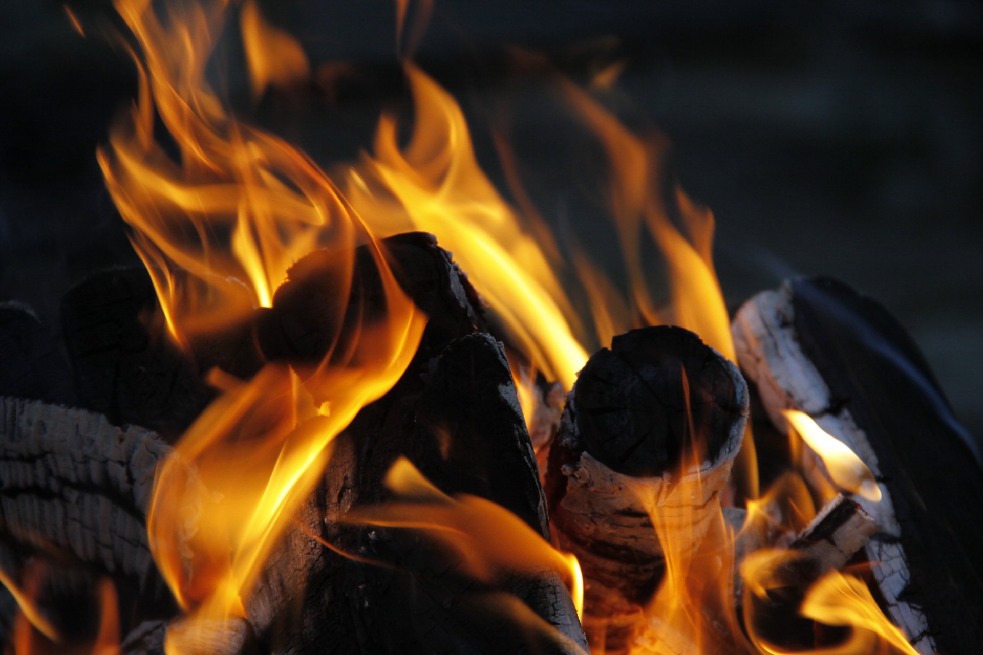 fond papier peint gros plan feu flamme feu feu de joie flammes bois de chauffage braises