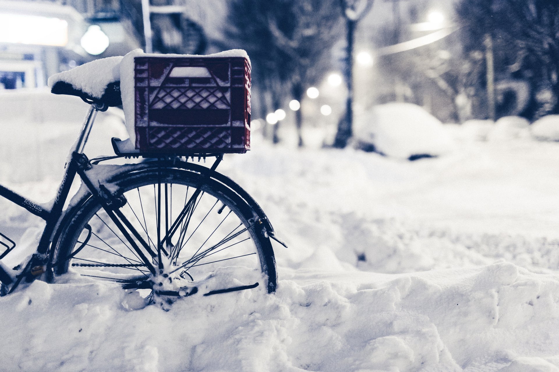 bicicletta inverno neve strada sera strada natura macro